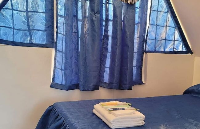 Live N Love - Photo 9