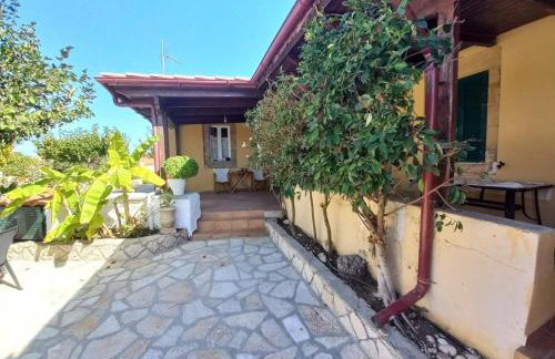 Traditional House - Photo 31