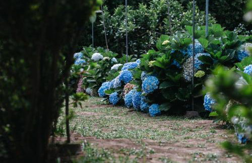 GILS Experience - Photo 43