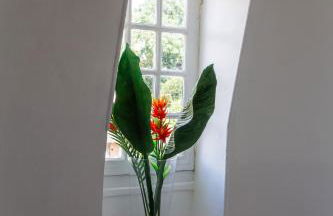 LE MANOIR PARADI - Foto 14