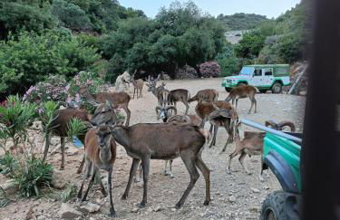 Villa María, más que pernoctar - Foto 23