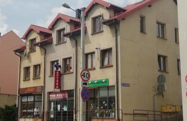 APARTAMENT W CENTRUM OLESNA - Foto 1