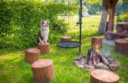 Bieszczadzki Krakowiak 575-894-584 lub 535-595-732 - Photo 58