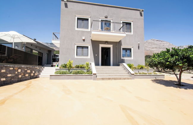 Olive Tree - Foto 34