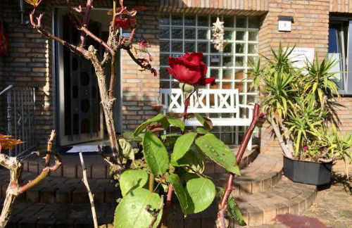 DoKoMi Düsseldorf Köln 5 Pers Appartement mit Terrasse big TV - Photo 10