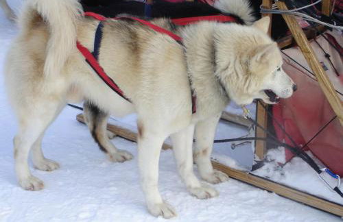 Les Curtillets - Foto 34