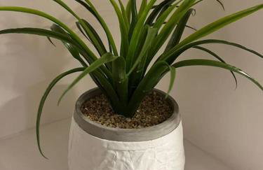 Chelston Grange Torquay Near the Beach with Private Garden & Parking - Foto 25