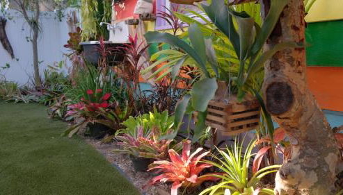 BeachPoint Cottages - Foto 5, Garden