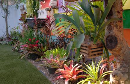 BeachPoint Cottages - Foto 5