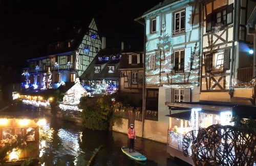 Au coeur de l'Alsace - Gîtes - Photo 46