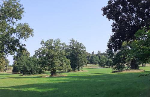 Ferienhaus Hoher Vogelsberg - Photo 4