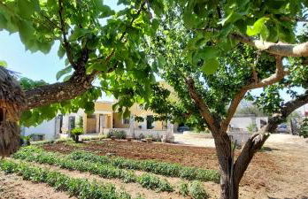 Villa PARADISO - Tra Ulivi e Tramonti da Cartolina - Foto 7