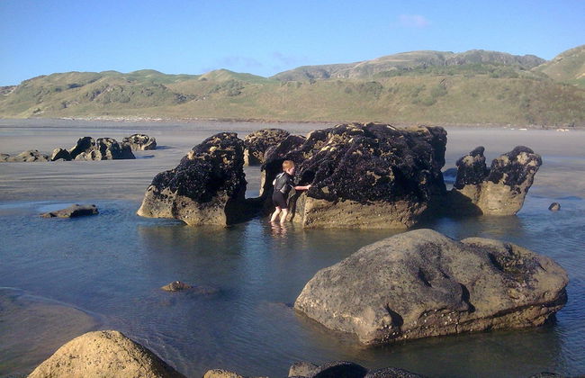 Wetland View Park - Photo 17