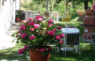 Agriturismo La Guinza - Pool & Relax - Foto 49