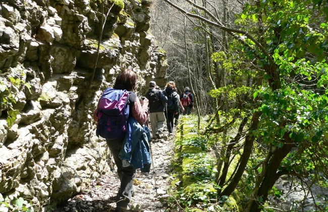 Spacious Countryside Escape - Foto 31