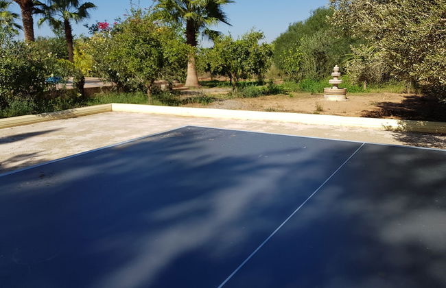 Le Jardin aux Etoiles - Foto 28