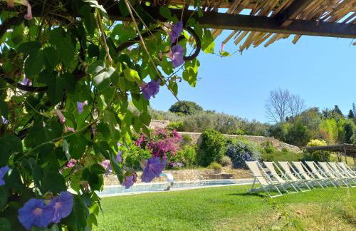 Fattoria di Maiano - Foto 38