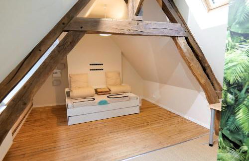 Nid Normand building 1620 - 4 bedrooms - hyper center - Foto 35