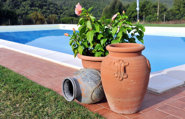 Agriletizia - Foto 3