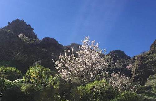 Casa La Sabina - Luxury Villa On The Balcony of The Atlantic - Minimum Period 7 Days - Foto 38