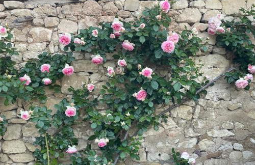 Le petit Pavillon - Foto 2