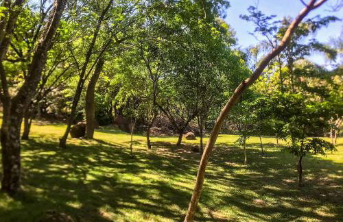 Chalé europeu com vista para natureza no interior - Foto 46