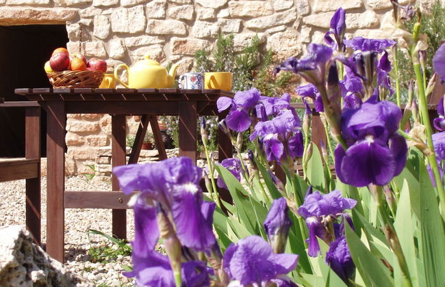 Mas de l'Arlequi Casa rural - Foto 54