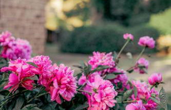 Herrenhaus Burg Vlatten - Foto 44