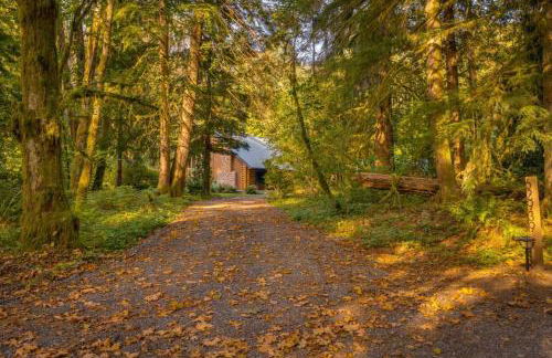 The Fernwood - Foto 29