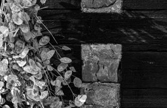 Cosy Lehde - Foto 19