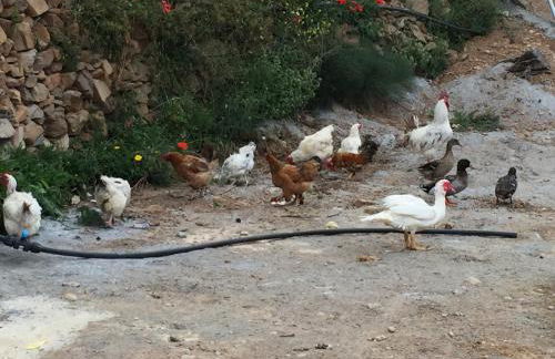 Reul Alto Cortijos Rurales - Foto 57