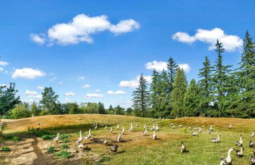 Cozy Ferndale Studio on 20-Acre Working Farm! - Foto 36