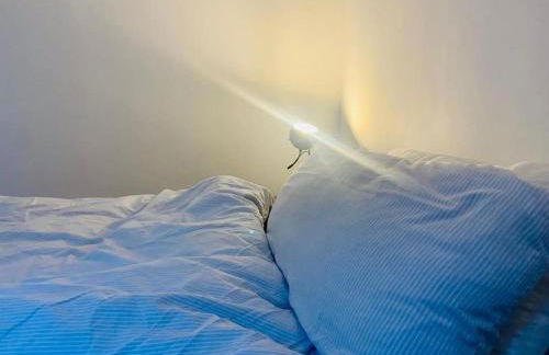 Gemütliche Wohnung nahe Lüneburg direkt am Waldrand - wifi - Foto 11