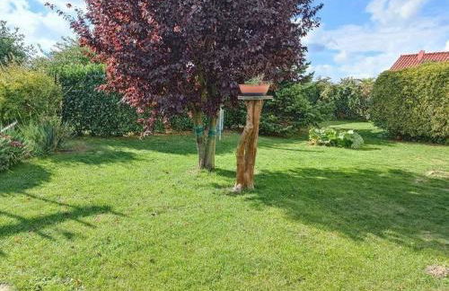 Ferienwohnung 3 - Zur Schwedenschanze - ABC563 - Nur Feriengäste! - Foto 16