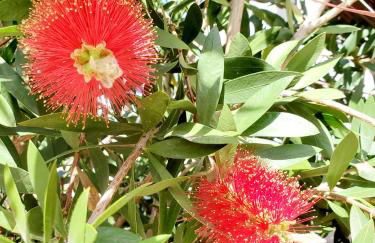 La Suite du Jardin - Villa 5 etoiles - Foto 50