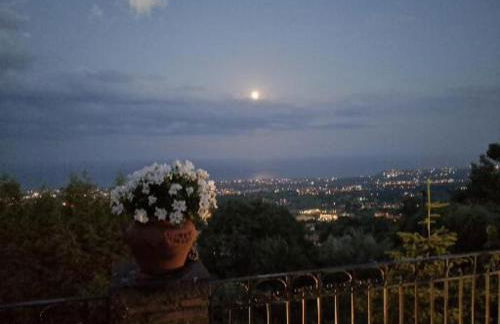 Feudo Algerazzi - Foto 52