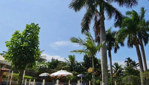 Chácara Casa Sítio Piscina Churrasqueira Cervejeira - Foto 4