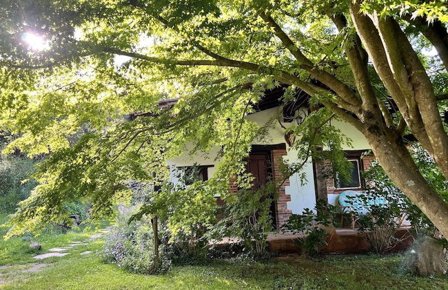 Los Acebos de Peña Cabarga - Foto 76