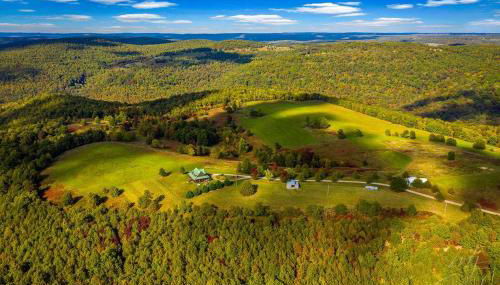 Lodge at OZK Ranch- Incredible mountaintop cabin with hot tub and views - Photo 2