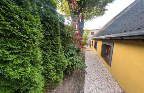 Chatka Baby Jagi - Foto 4