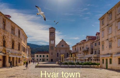 Studio Apartment - Foto 23