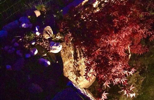 Bella Vista - Foto 58