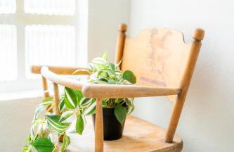 La Collina dei Conigli - immersi nella natura - Foto 42