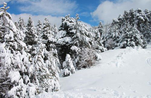 Les loges de la suite - Foto 20