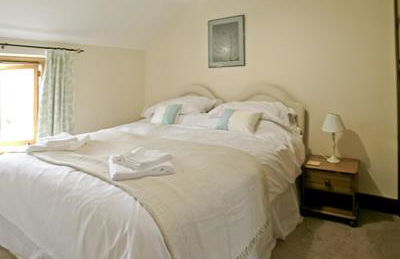 Cowleaze - Dbbl - Foto 7