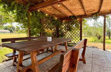 Casa RiVa - Among olive trees and the Tuscan coast - Foto 22