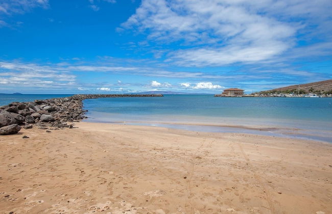 Maalaea Kai 215 1 Bedroom Condo - Foto 43