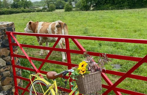 Farm Stay at THE GLEBE COTTAGE KILREA - Foto 11