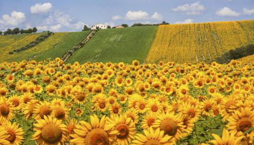 Appartamento in completo confort - Foto 2