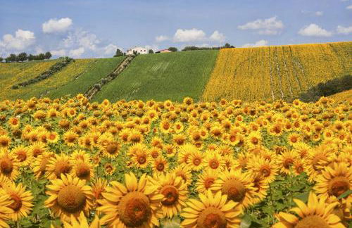 Appartamento in completo confort - Foto 2